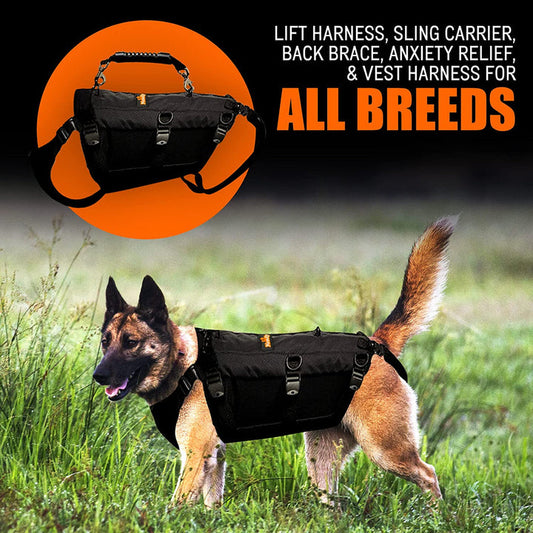 NeoAlly Sturdy Dog Lift Harness Full Body Support & Mobility Aids System - 5-in-1 Lifting Support, Carry Sling, Vest Harness, Back Brace, and Anxiety Vest - Endorsed by Shark Tank (Large)