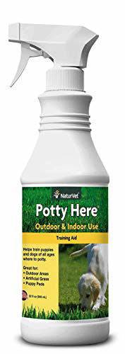 NaturVet - Potty Here Training Aid Spray - Attractive Scent Helps Train Puppies & Dogs Where to Potty - Formulated for Indoor & Outdoor Use - 32 oz